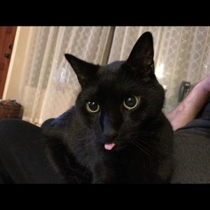 Meet your Posher, Jimmy